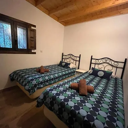 Palmeras * Temisas