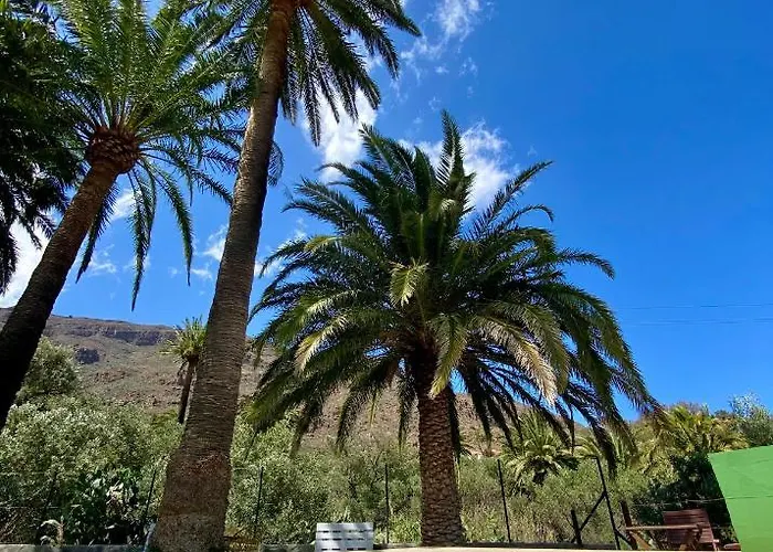 Дом отдыха Palmeras Темисас