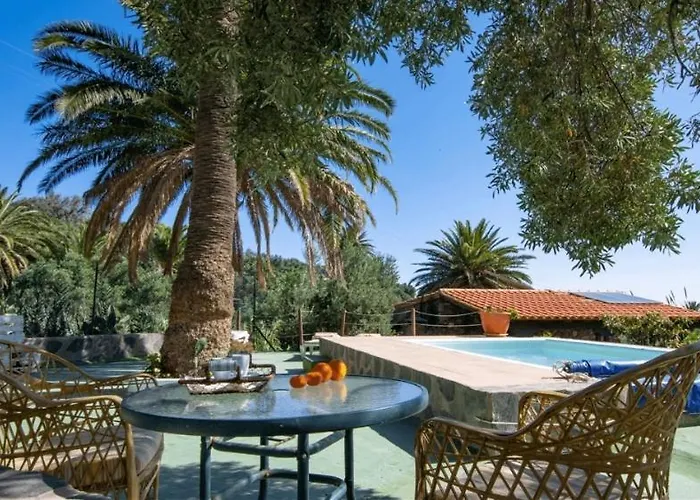 Palmeras Дом отдыха Темисас