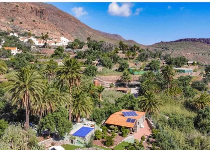 Дом отдыха Palmeras