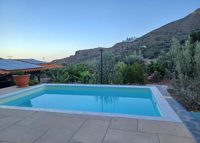 Palmeras Темисас