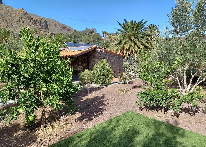 Palmeras * Темисас