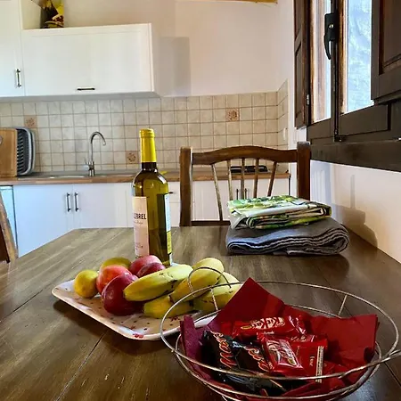 Palmeras Vakantiehuis Temisas